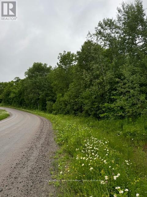 












LOT 29 FARLEYS ROAD

,
Whitestone (Dunchurch),







Ontario
P0A1G0


