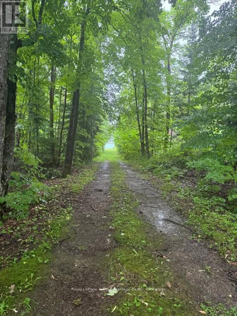 












LOT 29 FARLEYS ROAD

,
Whitestone (Dunchurch),







Ontario
P0A1G0

