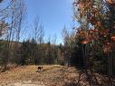 Land/Lot Land/Lot
