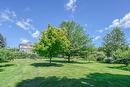 Backyard Backyard