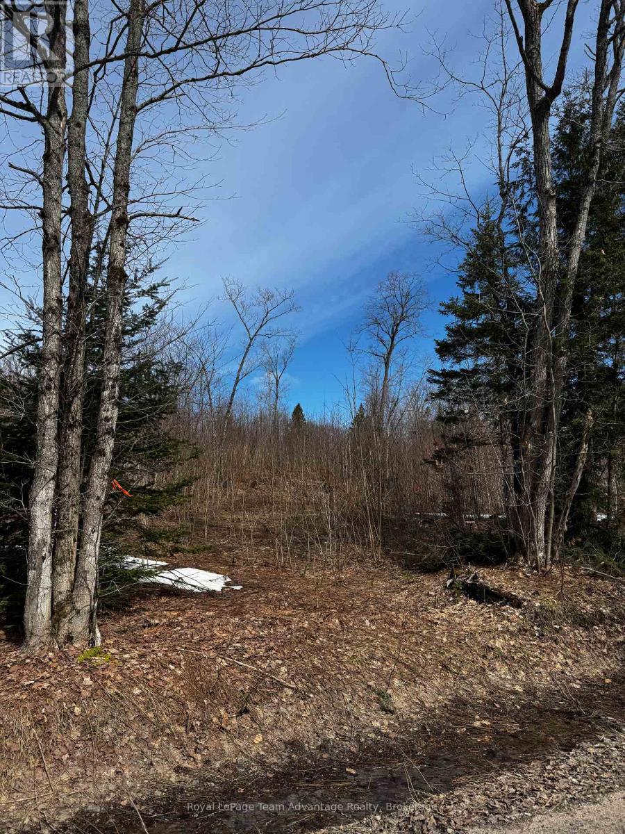 












LOT 3 LORIMER LAKE ROAD

,
Whitestone (Hagerman),







Ontario
P0A1G0

