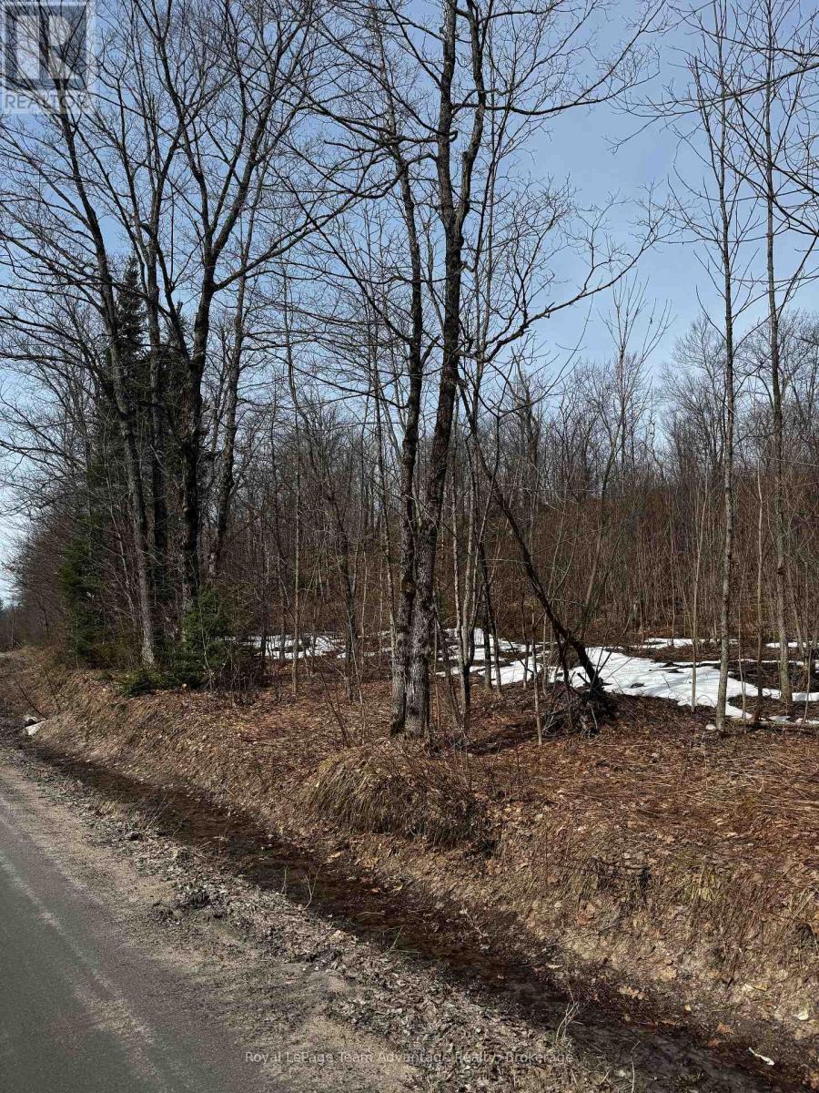 












LOT 3 LORIMER LAKE ROAD

,
Whitestone (Hagerman),







Ontario
P0A1G0

