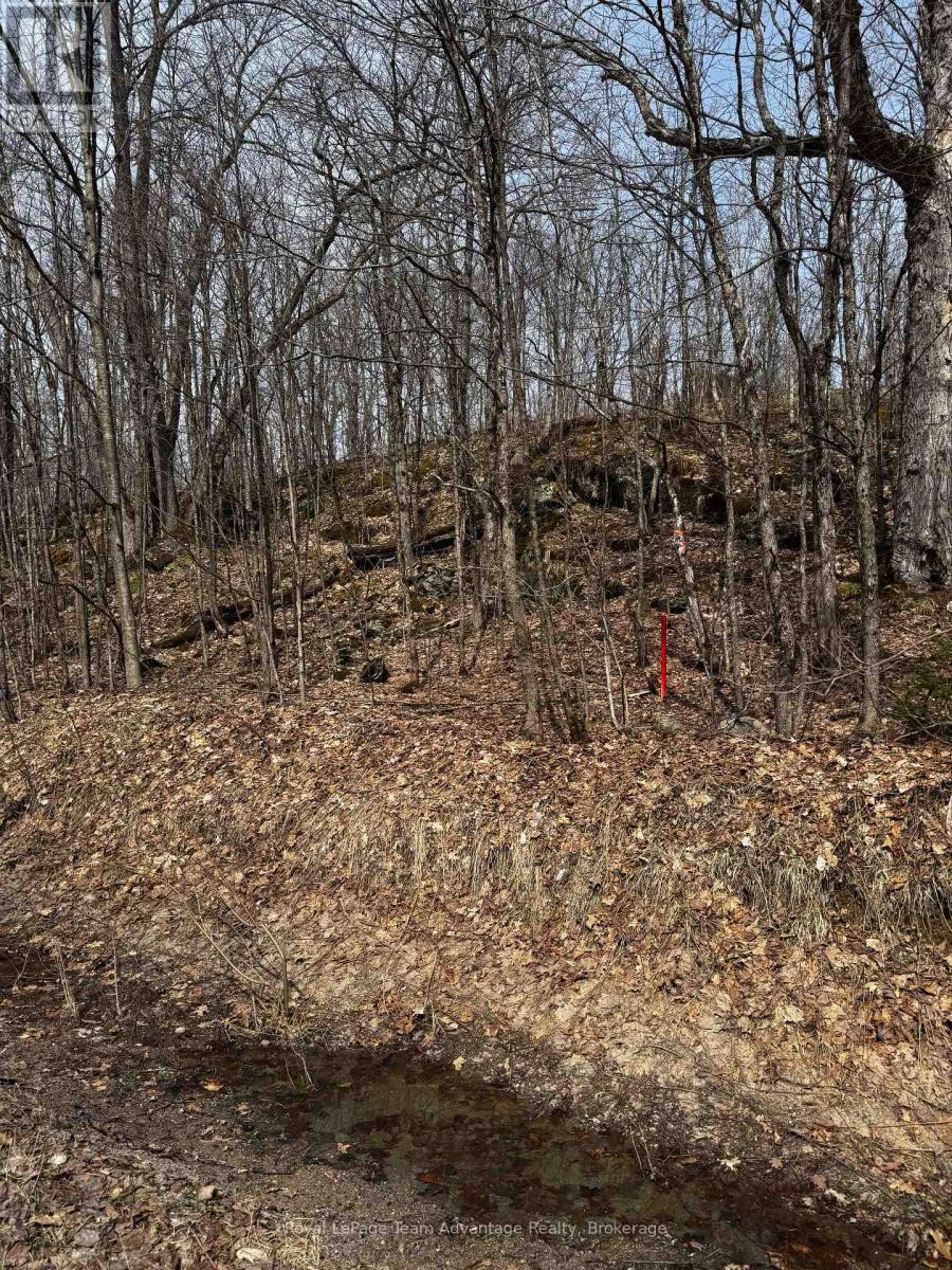 












LOT 3 LORIMER LAKE ROAD

,
Whitestone (Hagerman),







Ontario
P0A1G0

