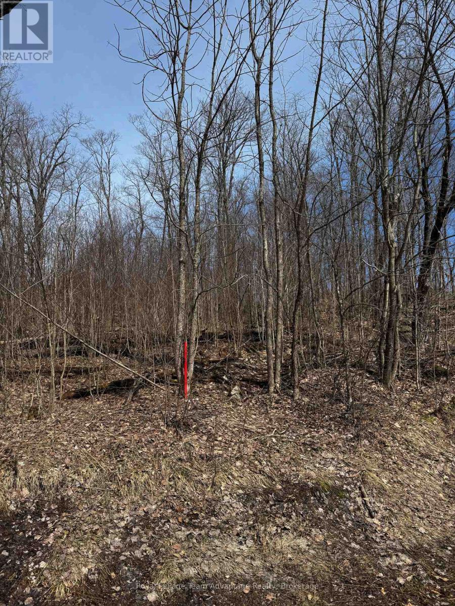 












LOT 3 LORIMER LAKE ROAD

,
Whitestone (Hagerman),







Ontario
P0A1G0

