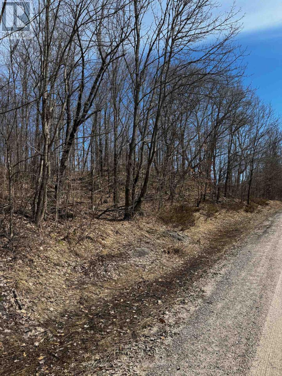 












LOT 3 LORIMER LAKE ROAD

,
Whitestone (Hagerman),







Ontario
P0A1G0

