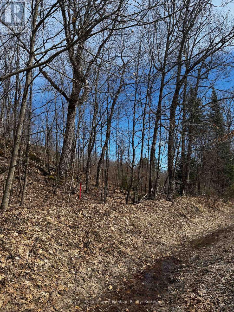 












LOT 3 LORIMER LAKE ROAD

,
Whitestone (Hagerman),







Ontario
P0A1G0

