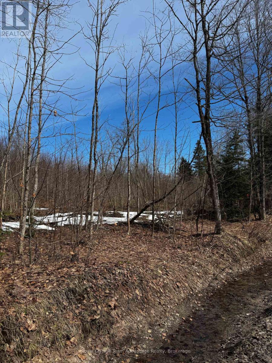 












LOT 3 LORIMER LAKE ROAD

,
Whitestone (Hagerman),







Ontario
P0A1G0

