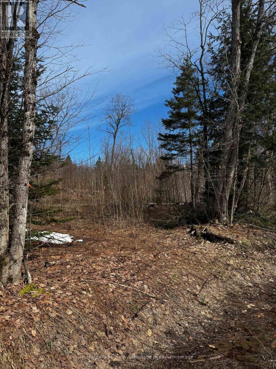 












LOT 3 LORIMER LAKE ROAD

,
Whitestone (Hagerman),







Ontario
P0A1G0

