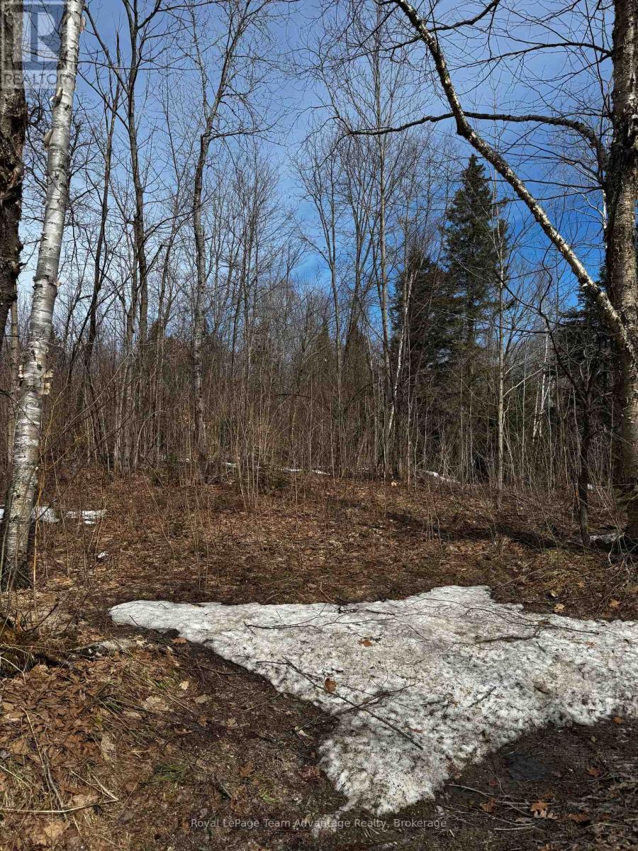












LOT 3 LORIMER LAKE ROAD

,
Whitestone (Hagerman),







Ontario
P0A1G0

