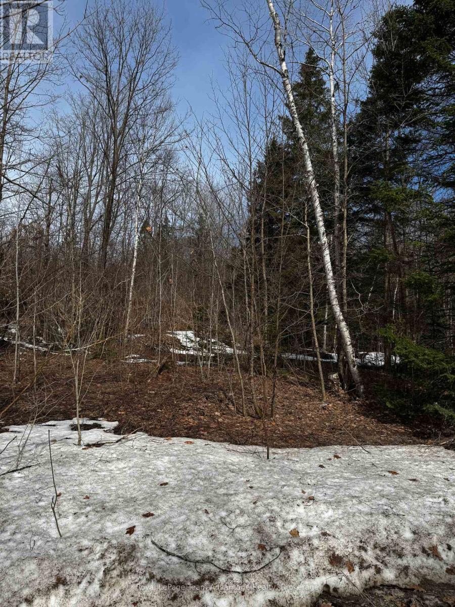 












LOT 3 LORIMER LAKE ROAD

,
Whitestone (Hagerman),







Ontario
P0A1G0

