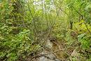 Terre/Terrain