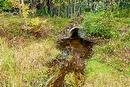 Terre/Terrain