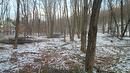 Terre/Terrain Terre/Terrain