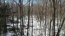Terre/Terrain Terre/Terrain