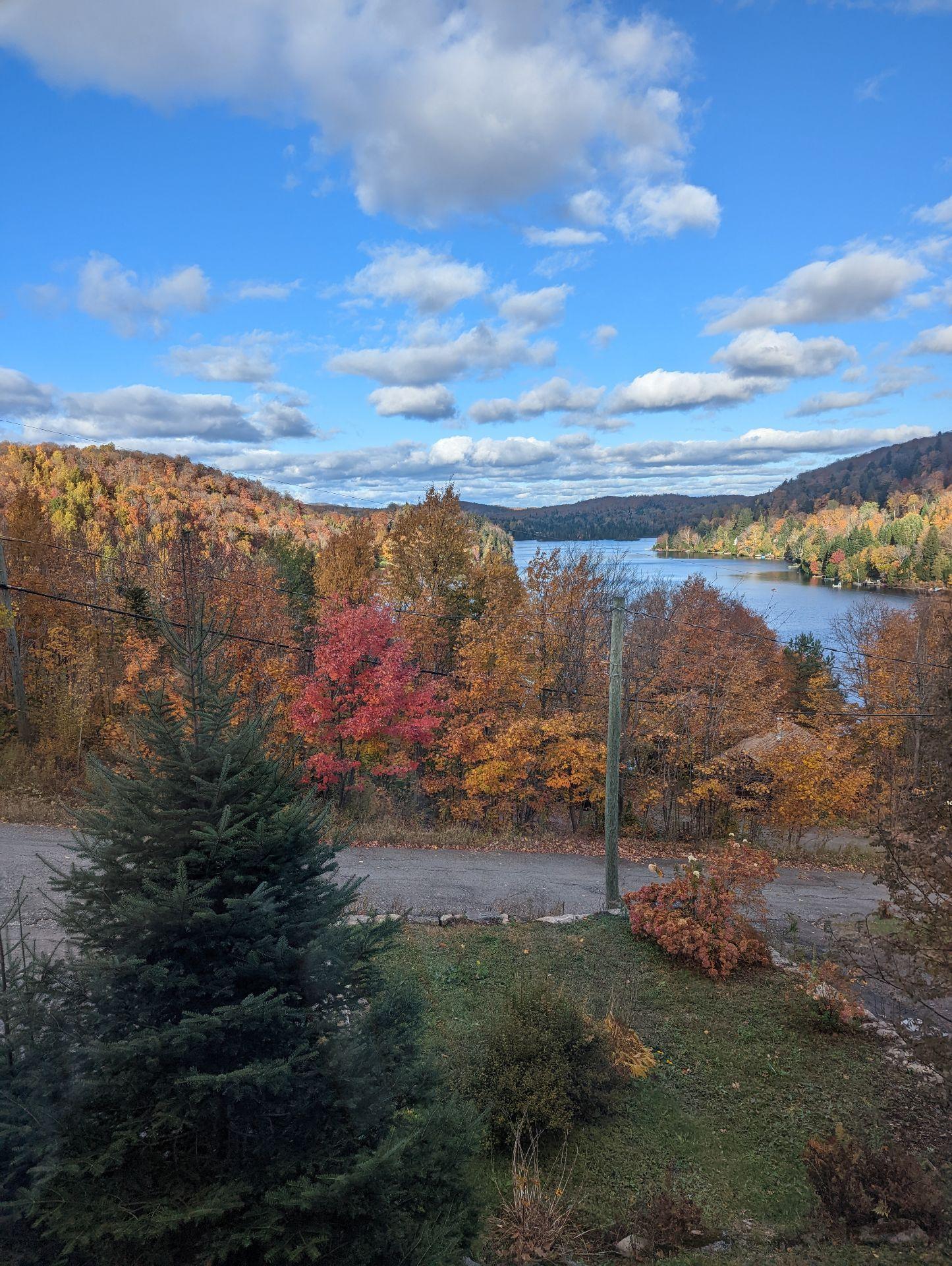 









62


Ch. Lakeview

,
Saint-Adolphe-d'Howard,




QC
J0T2B0

