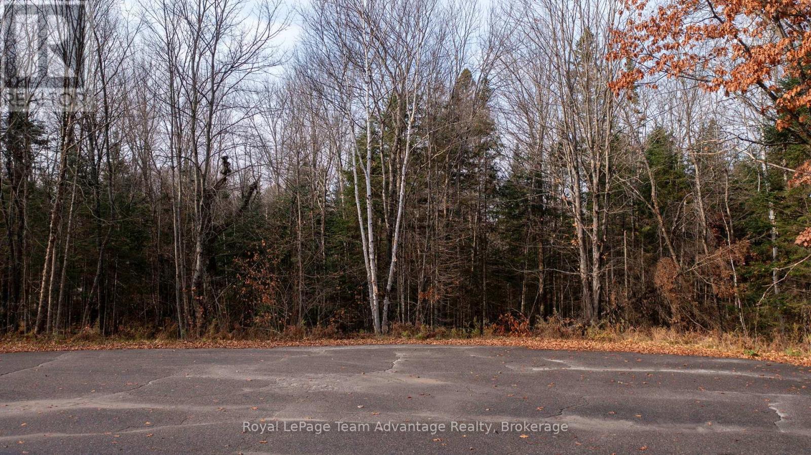 












181 CLARKES LANE

,
Huntsville,







Ontario
P0B1M0

