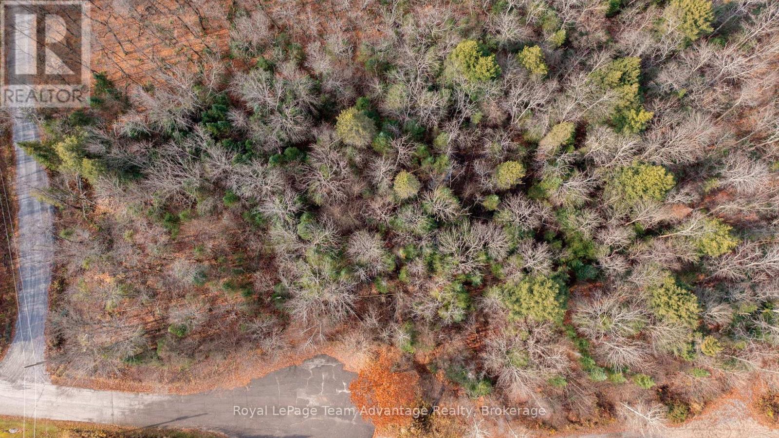 












181 CLARKES LANE

,
Huntsville,







Ontario
P0B1M0

