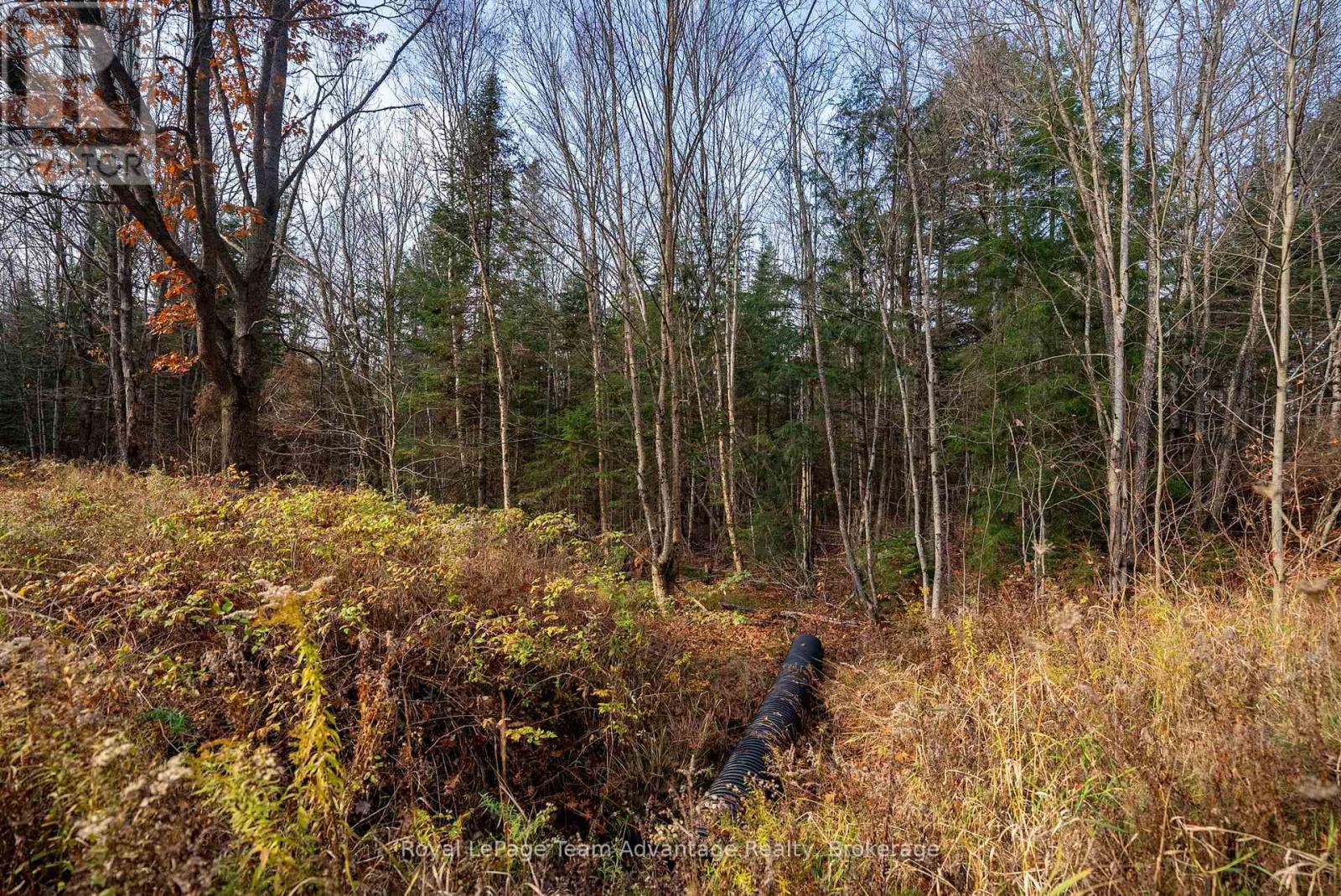 












181 CLARKES LANE

,
Huntsville,







Ontario
P0B1M0

