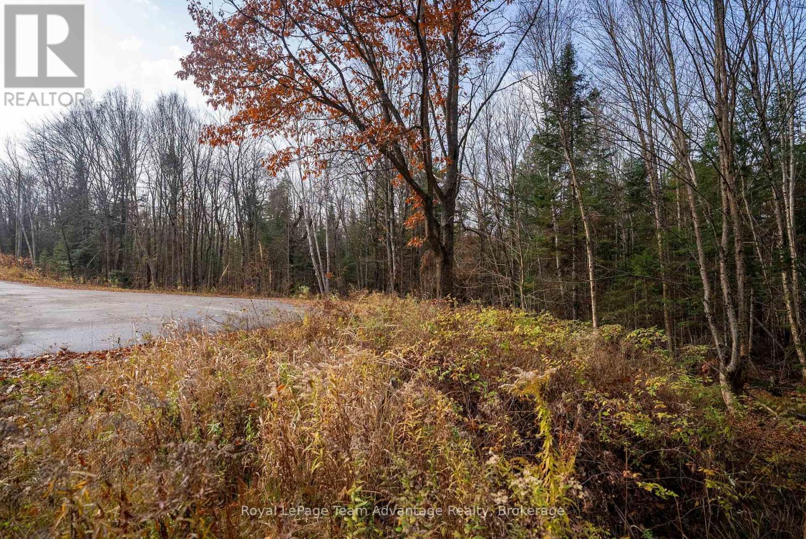 












181 CLARKES LANE

,
Huntsville,







Ontario
P0B1M0

