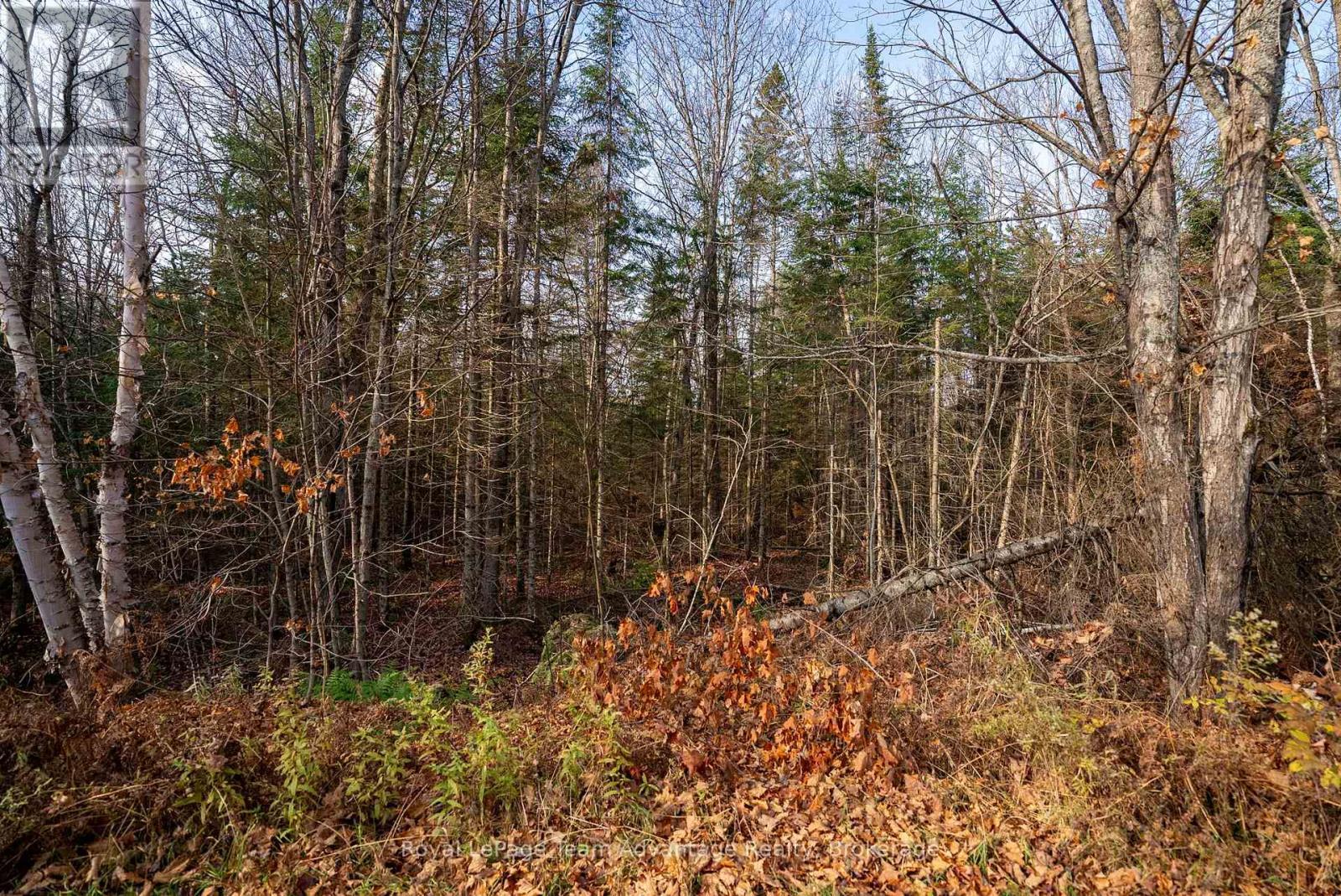 












181 CLARKES LANE

,
Huntsville,







Ontario
P0B1M0

