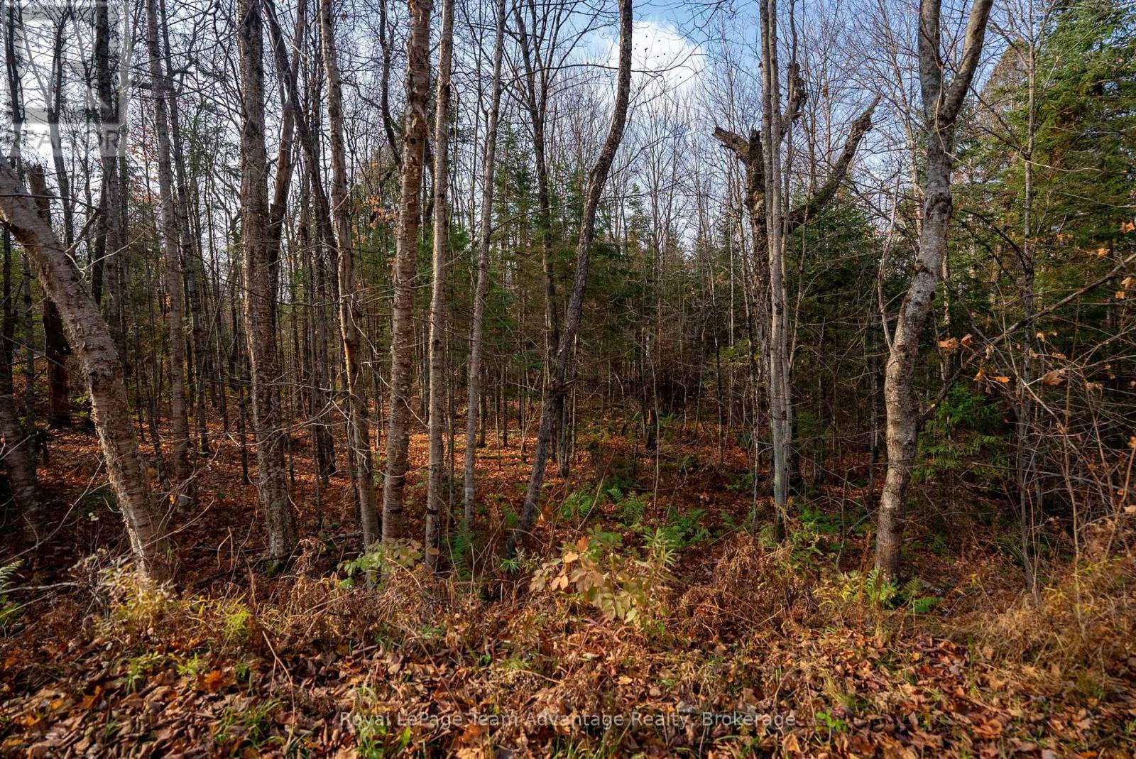 












181 CLARKES LANE

,
Huntsville,







Ontario
P0B1M0

