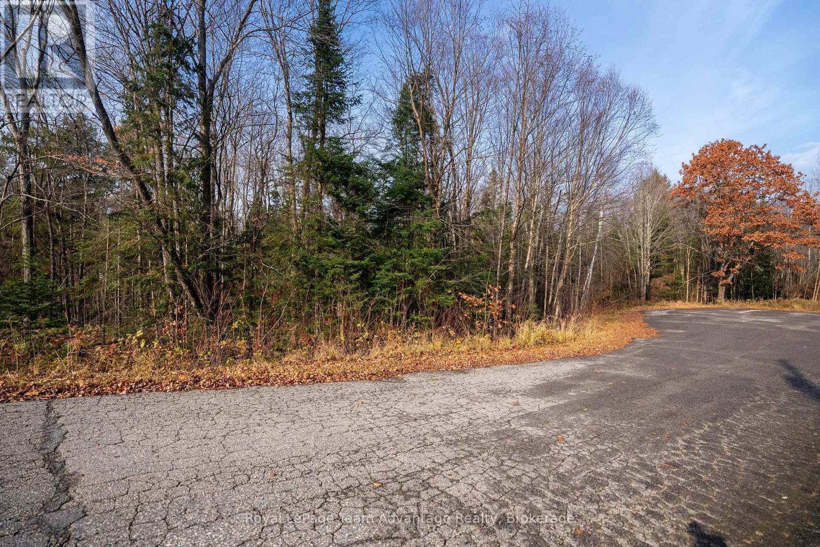 












181 CLARKES LANE

,
Huntsville,







Ontario
P0B1M0

