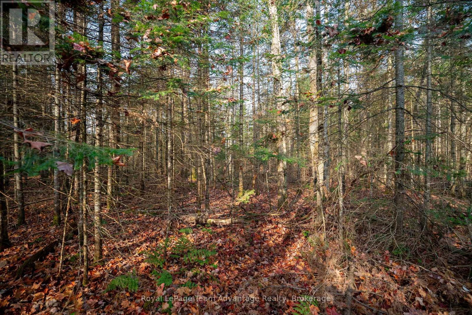 












181 CLARKES LANE

,
Huntsville,







Ontario
P0B1M0

