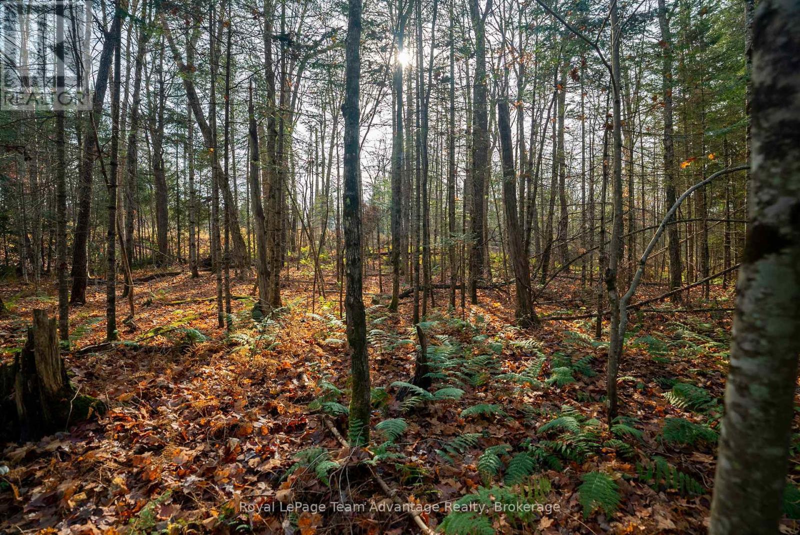 












181 CLARKES LANE

,
Huntsville,







Ontario
P0B1M0

