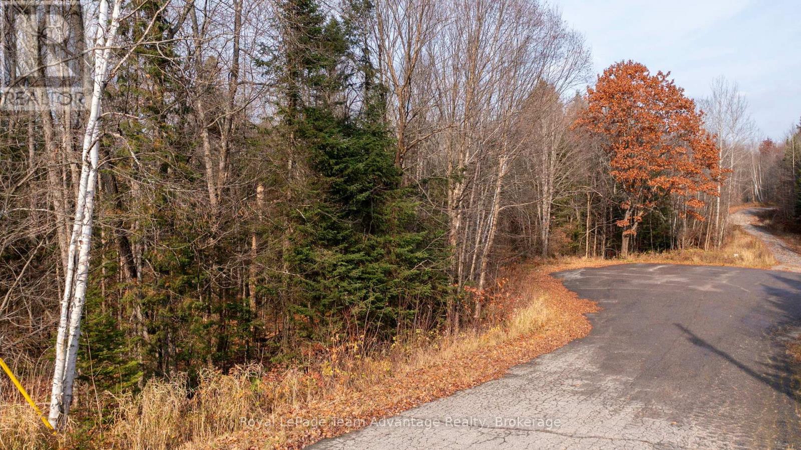 












181 CLARKES LANE

,
Huntsville,







Ontario
P0B1M0

