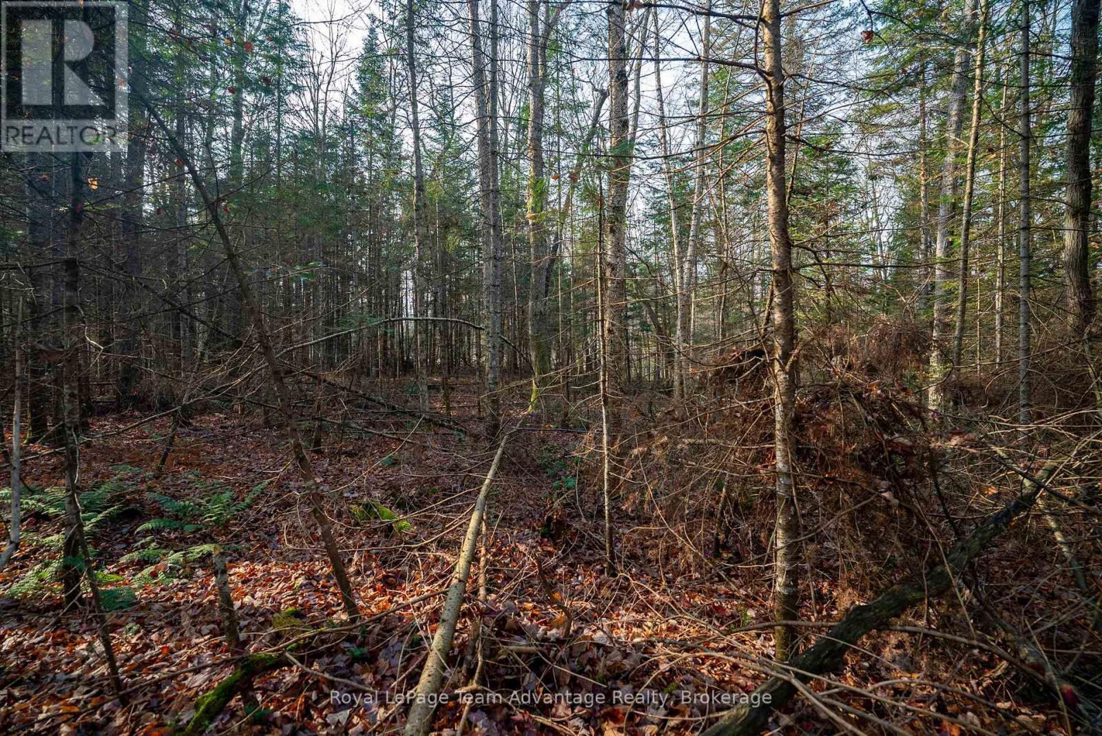 












181 CLARKES LANE

,
Huntsville,







Ontario
P0B1M0

