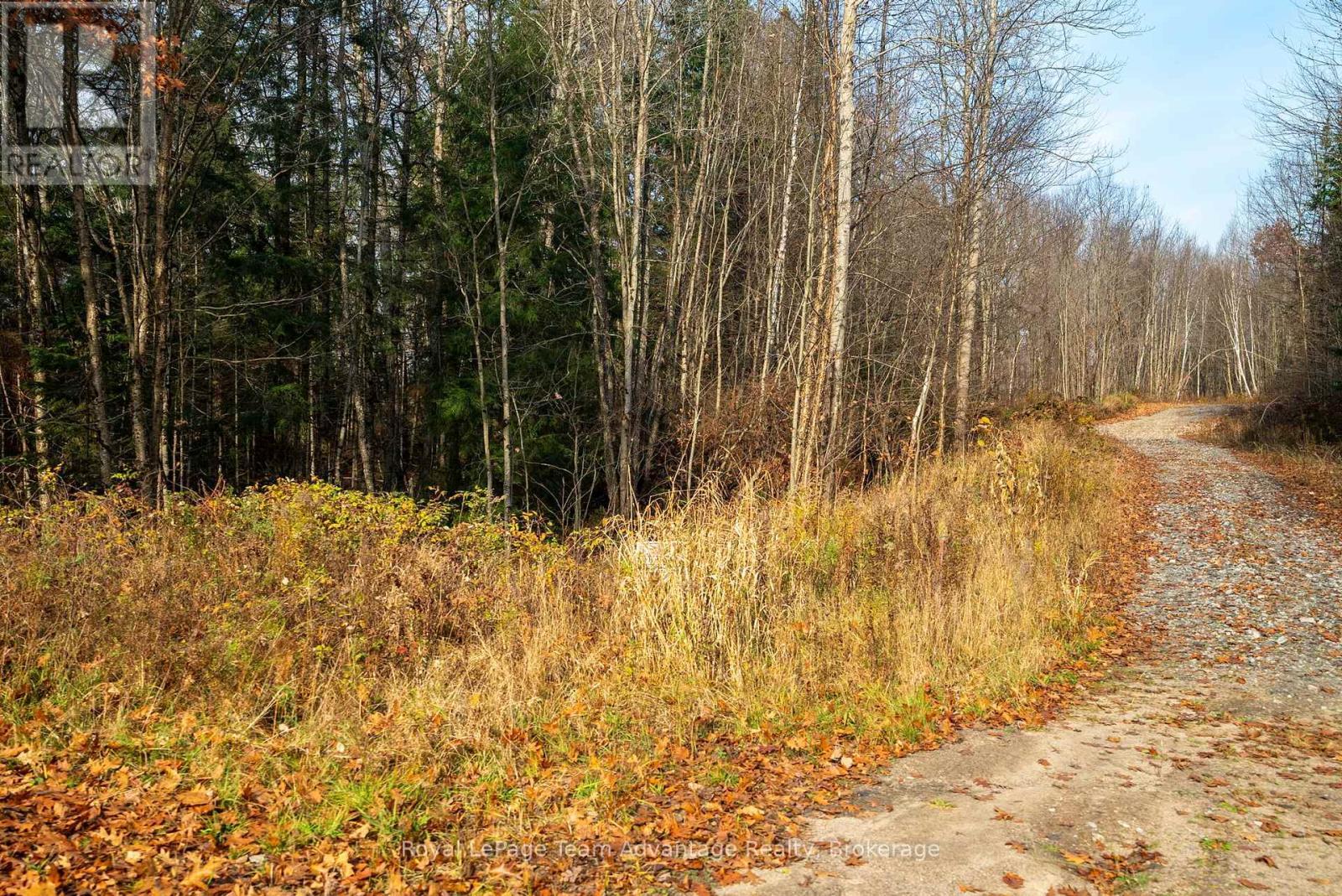 












181 CLARKES LANE

,
Huntsville,







Ontario
P0B1M0

