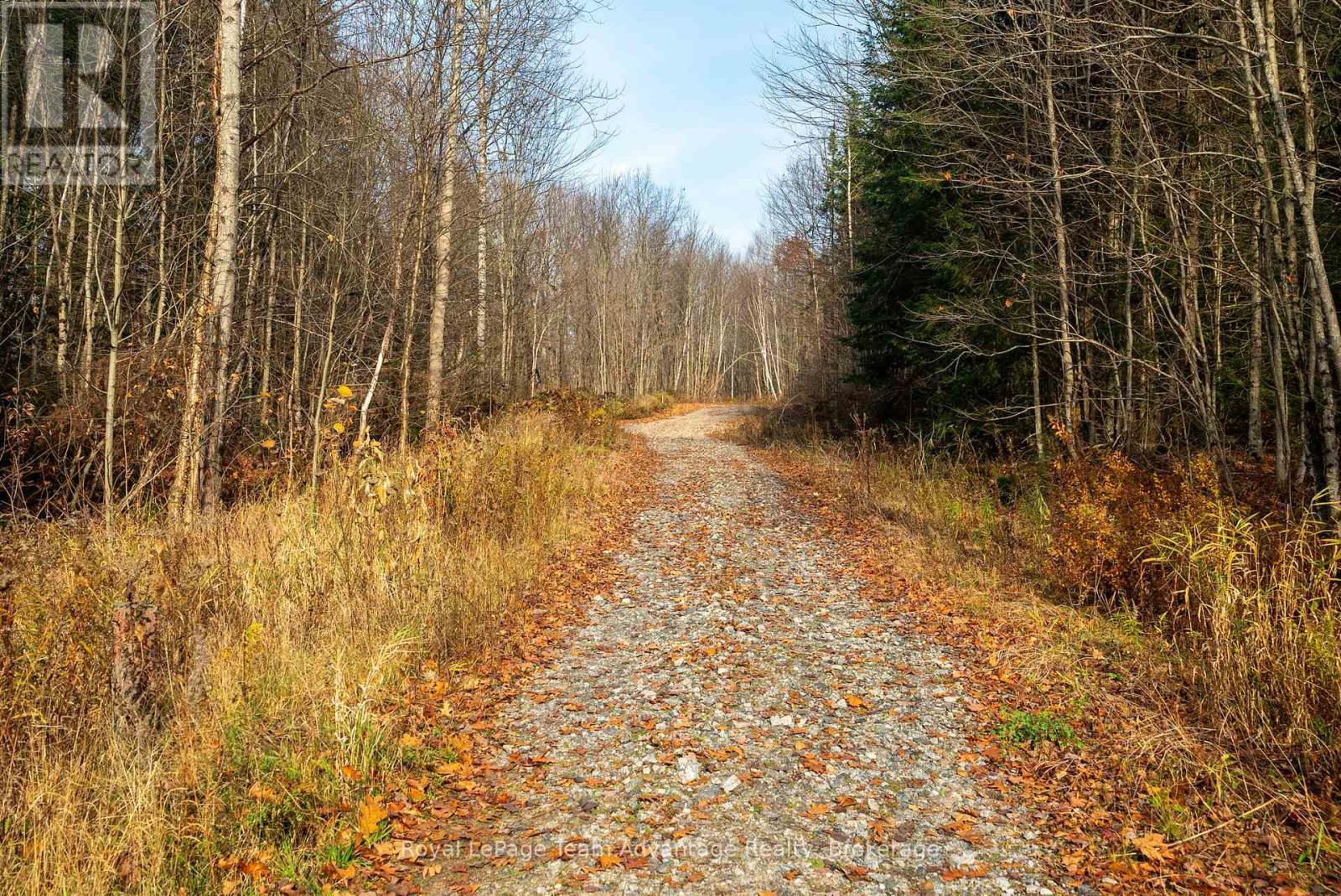 












181 CLARKES LANE

,
Huntsville,







Ontario
P0B1M0

