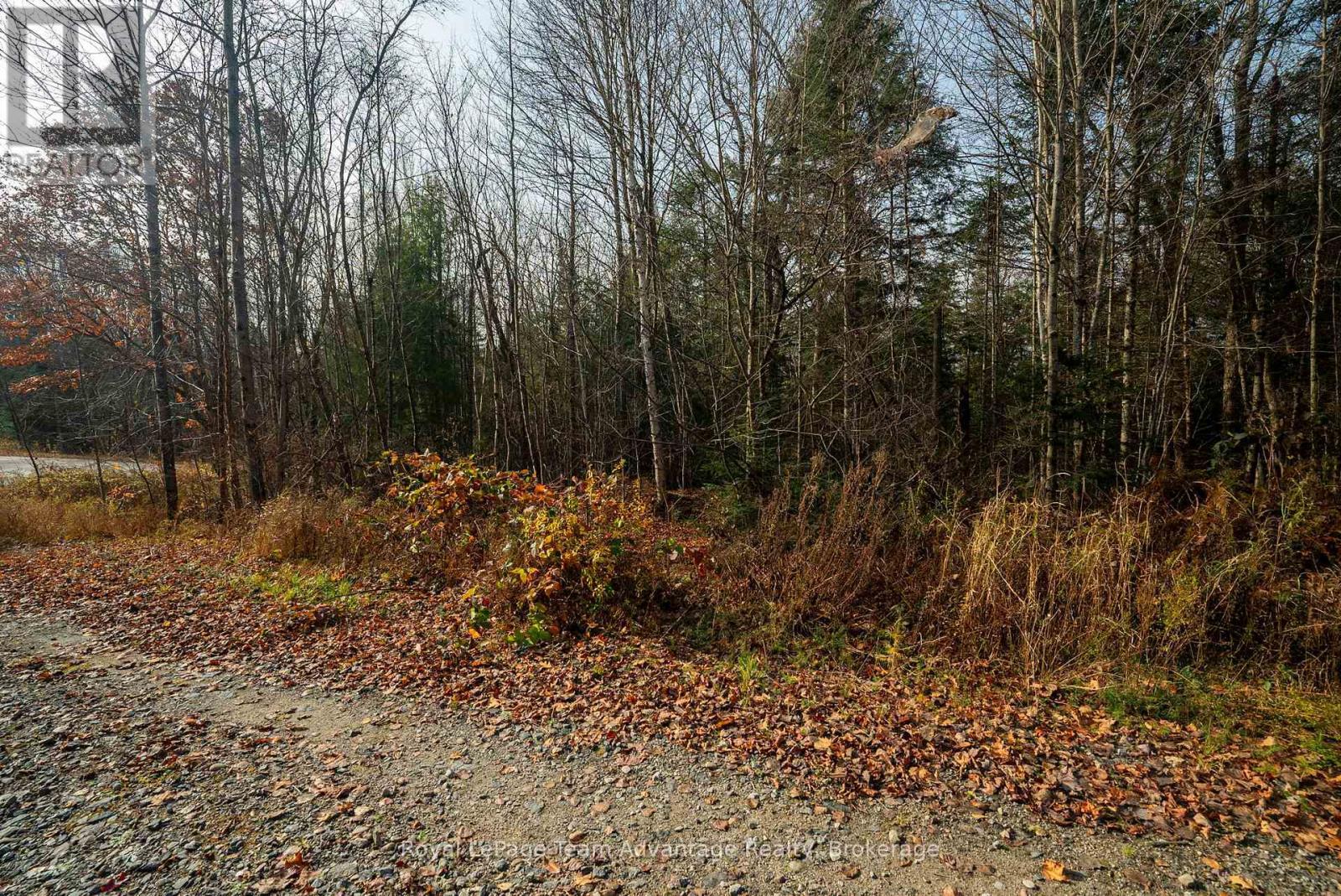 












181 CLARKES LANE

,
Huntsville,







Ontario
P0B1M0

