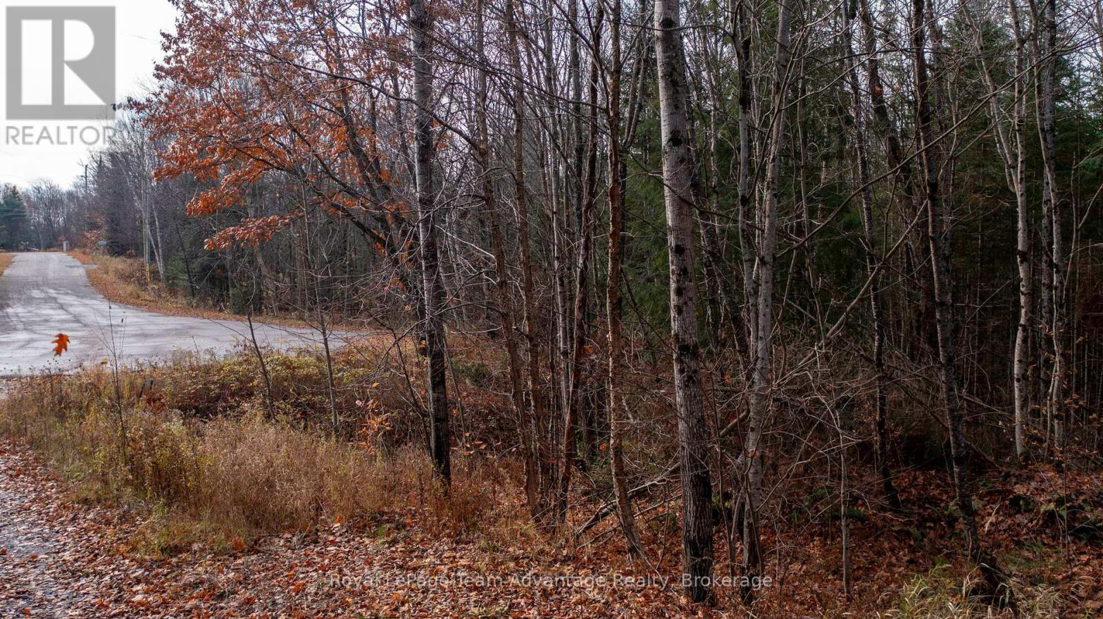 












181 CLARKES LANE

,
Huntsville,







Ontario
P0B1M0

