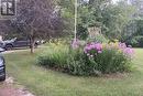 Gardens have colourful perennials Gardens have colourful perennials