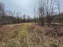 Land/Lot