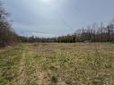 Land/Lot