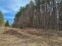 Land/Lot