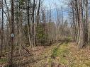 Land/Lot