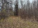 Land/Lot
