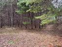 Land/Lot