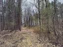 Land/Lot