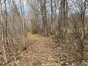 Land/Lot