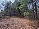 Land/Lot