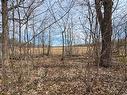 Land/Lot
