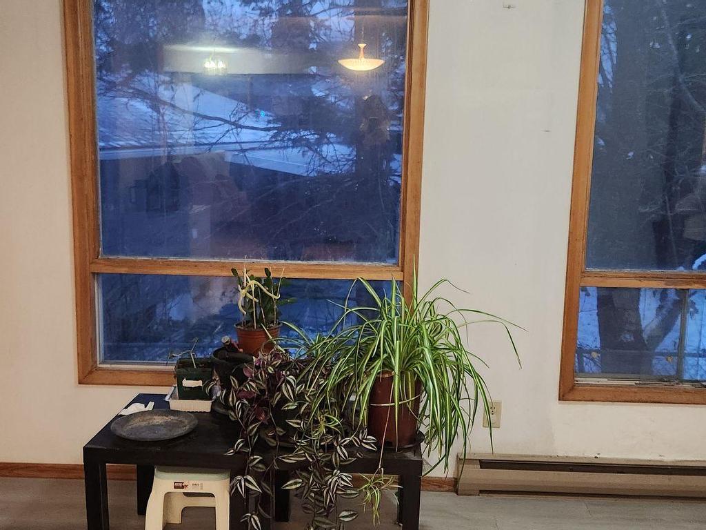 









43


Sorrel

Place, Upper (Room),
Waterloo,




ON
N2L 4H2


