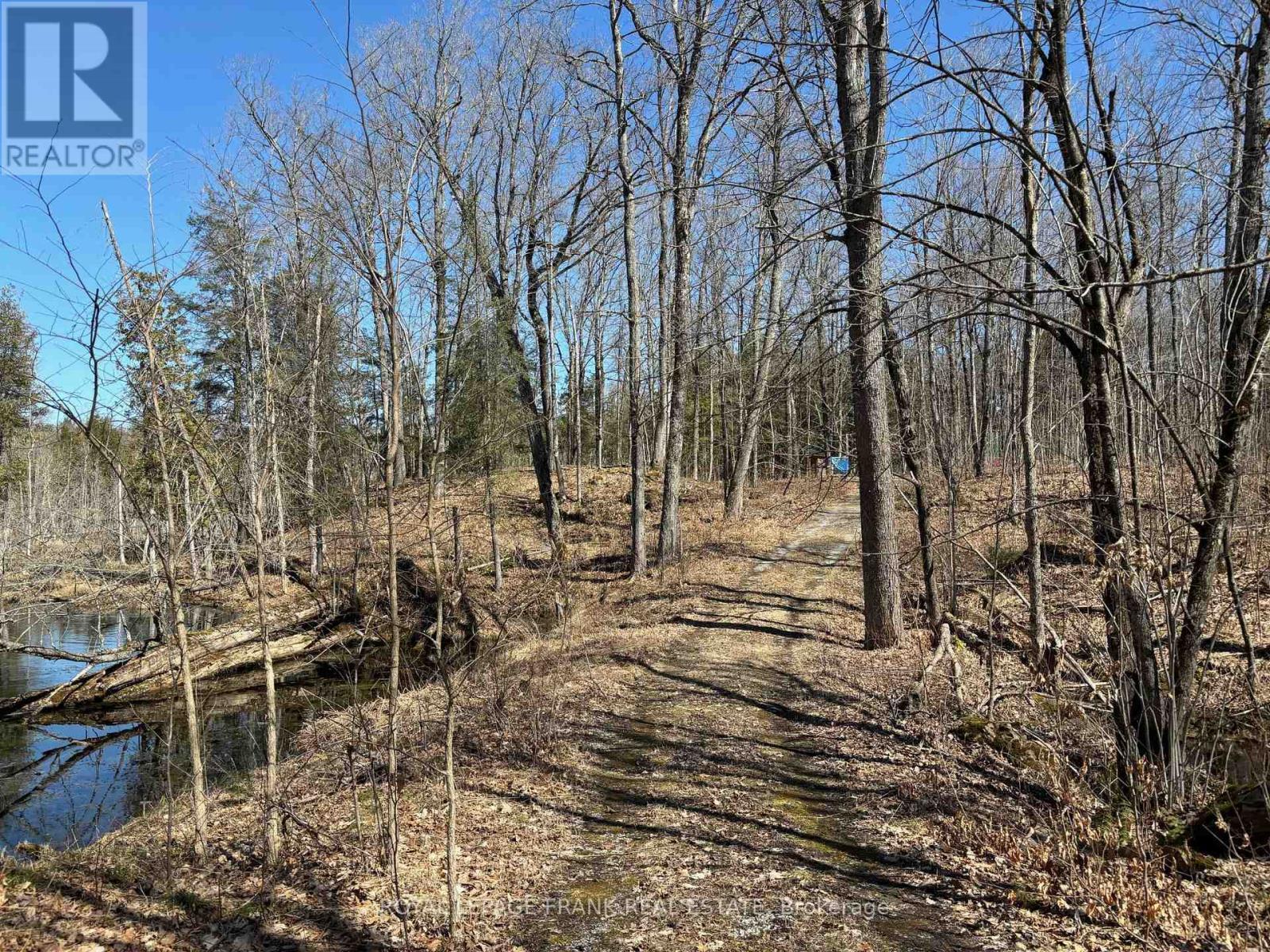 












185 JULIAN LAKE ROAD

,
North Kawartha,







Ontario
K0L3E0

