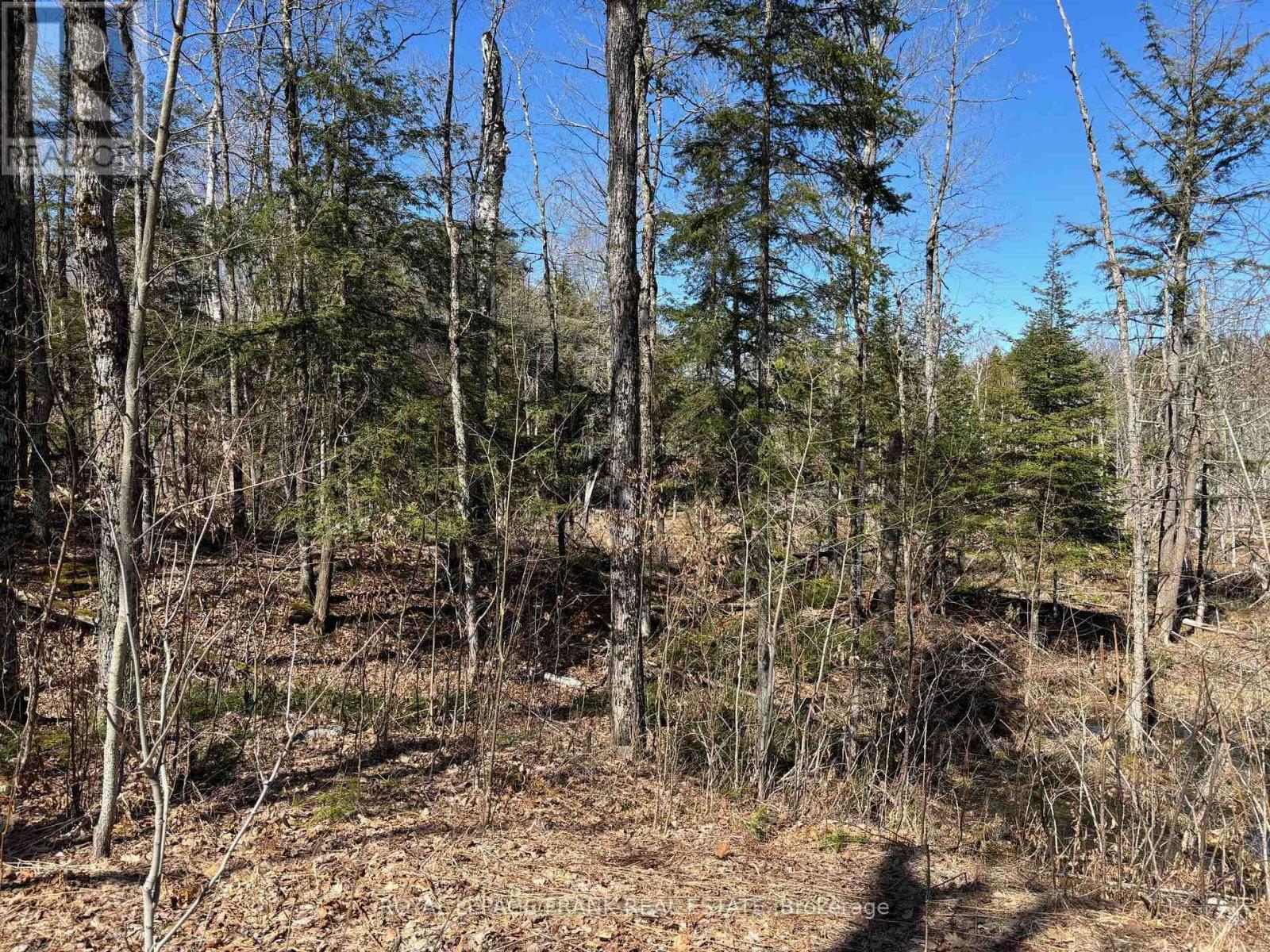 












185 JULIAN LAKE ROAD

,
North Kawartha,







Ontario
K0L3E0

