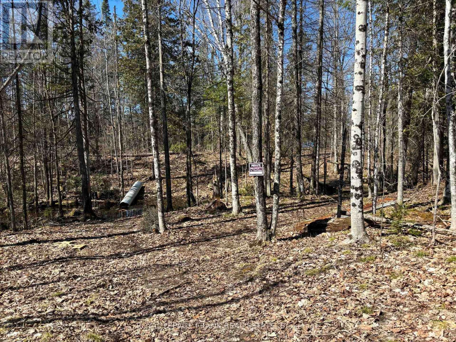 












185 JULIAN LAKE ROAD

,
North Kawartha,







Ontario
K0L3E0

