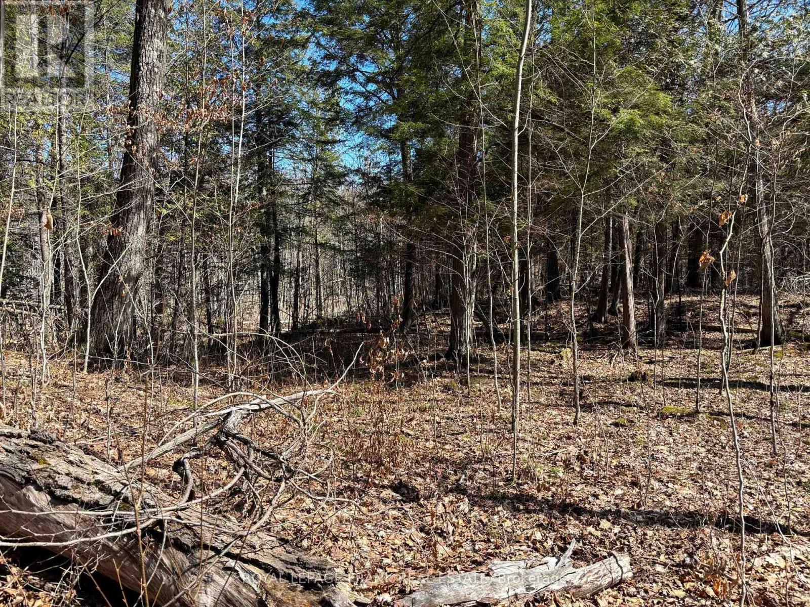 












185 JULIAN LAKE ROAD

,
North Kawartha,







Ontario
K0L3E0

